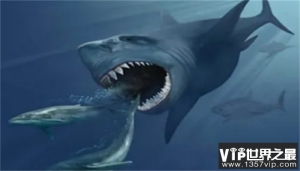 世界上最后一只巨齿鲨 巨齿鲨灭绝了吗（灭绝了）