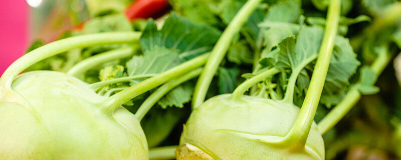 摄图网_300880683_banner_新鲜绿色蔬菜,健康的科拉比周围其他蔬菜生物市场,素食科拉比蔬菜（企业商用）1.jpg