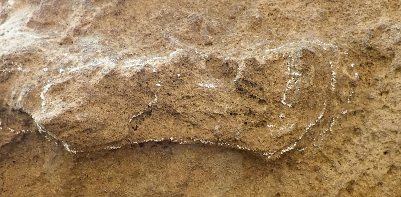 南非发现最古老的智人足迹化石，将记录向前推了3万年