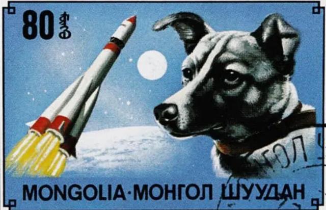 第一个上太空的狗现在怎么样了（宇宙汪莱卡第一只被送入太空的狗）(8)