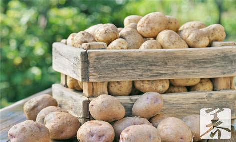 怎样放土豆不生芽