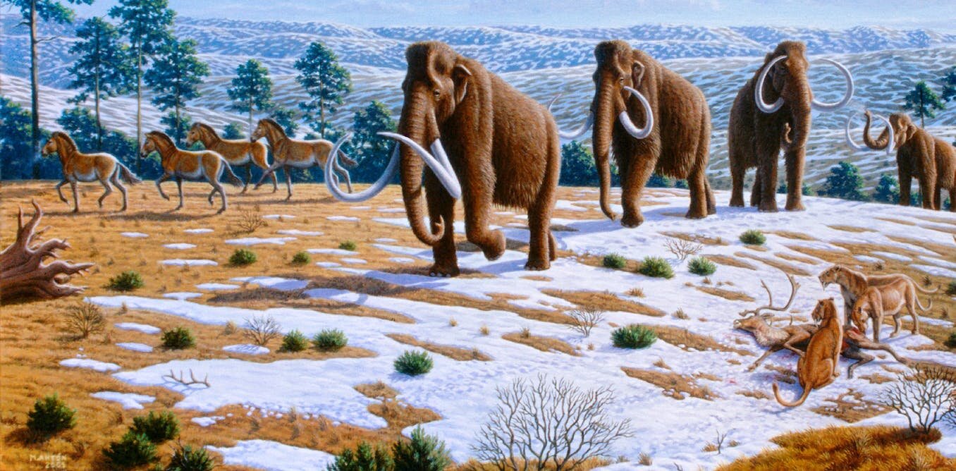13000年前古美洲人在北美东部猎杀乳齿象、猛犸象和其他巨型动物