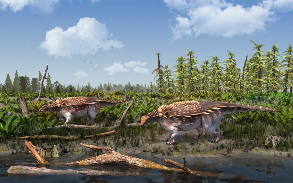 新的装甲恐龙以自然历史博物馆教授命名——Vectipelta barretti