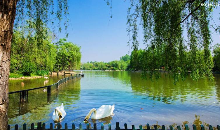 周末太湖美食自驾游怎么玩？这几个人少景美的南京小众自驾游目的地推荐给你！