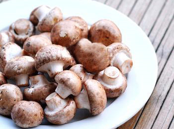 冬季营养瘦身蘑菇食谱