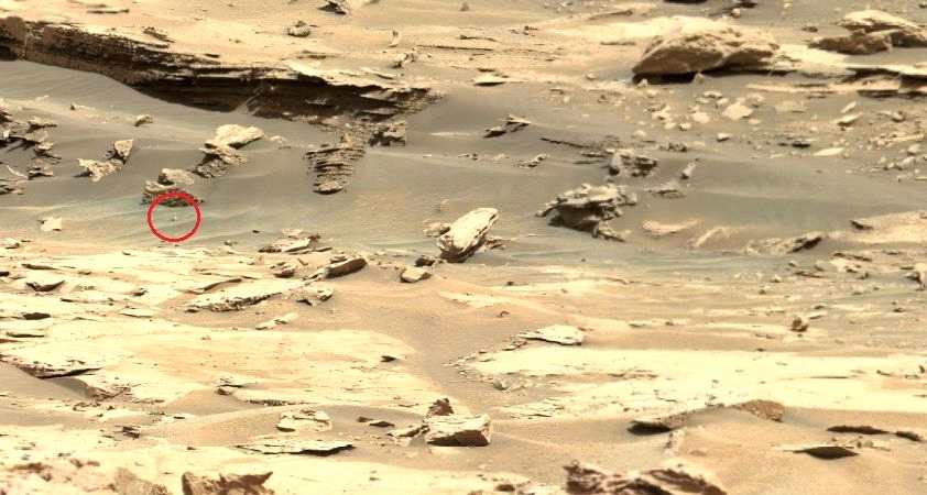公开火星照显示沙地竖立一奇特物，看似“活物”