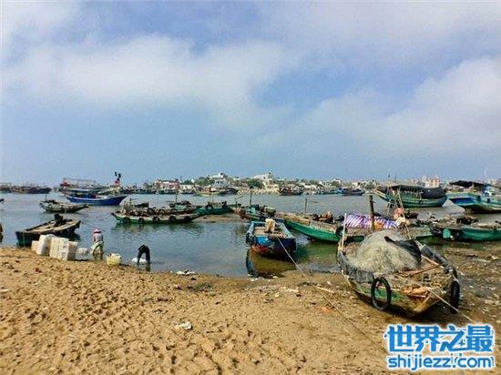 中国四大渔场，从辉煌到没落经历了什么