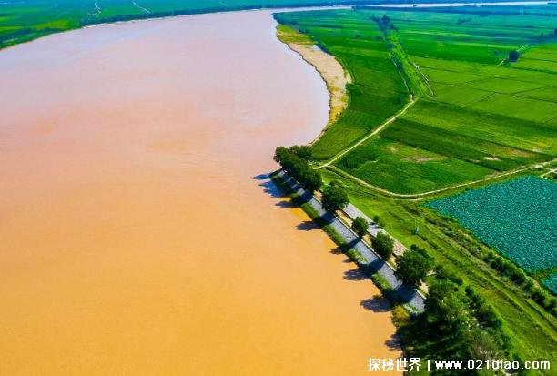 黄河迎来了枯水年 专家称2023年或进入特枯水年(影响重大)