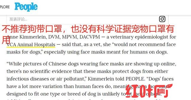 狗戴口罩可以避免犬瘟吗（狗狗专用口罩有用吗）(4)