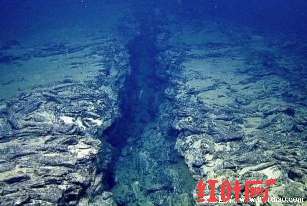  马里亚纳海沟的沟底有没有大型生物 不会存在(没有氧气)