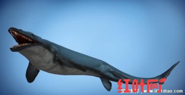  龙王鲸是鲸鱼吗 龙王鲸还存在吗（不存在）