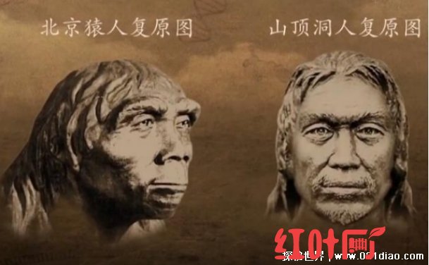  山顶洞人距今多少年 山顶洞人是中国人的祖先吗（不是）
