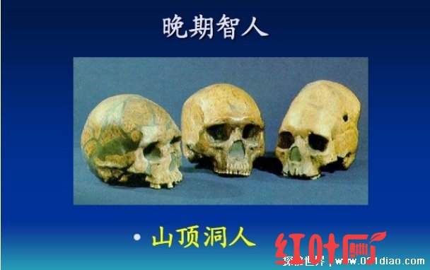  山顶洞人距今多少年 山顶洞人是中国人的祖先吗（不是）