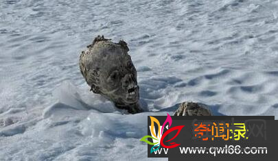 墨西哥雪山发现干尸几具疑似外星生物尸体